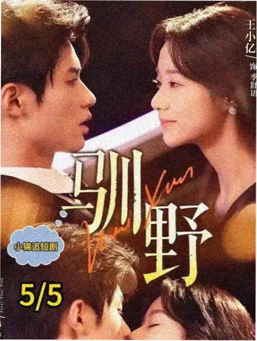 幸福攻略 观剧指南
